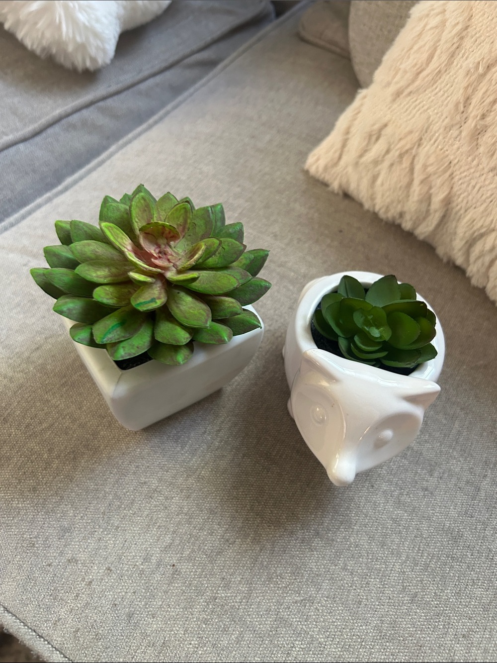 White Ceramic hedgehog & Square Planter Set with Green Faux Succulents 2 piece
